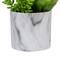 6.5" Green Succulent Arrangement in Faux Marble Pot